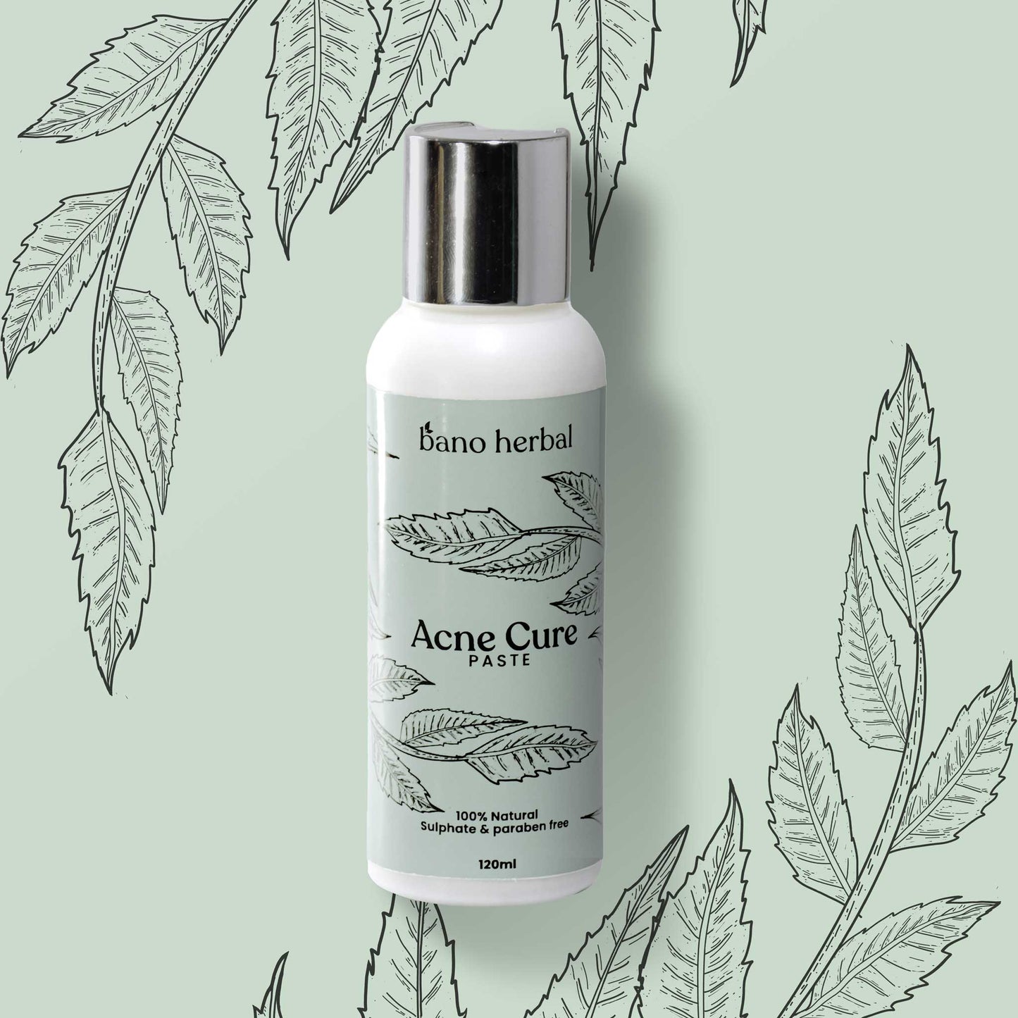 Acne Cure Paste "Herbal Acne Mask"