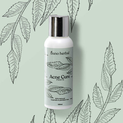 Acne Cure Paste  "Herbal Acne Mask"