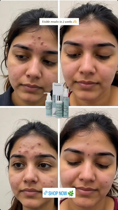 Customer review screenshot 2